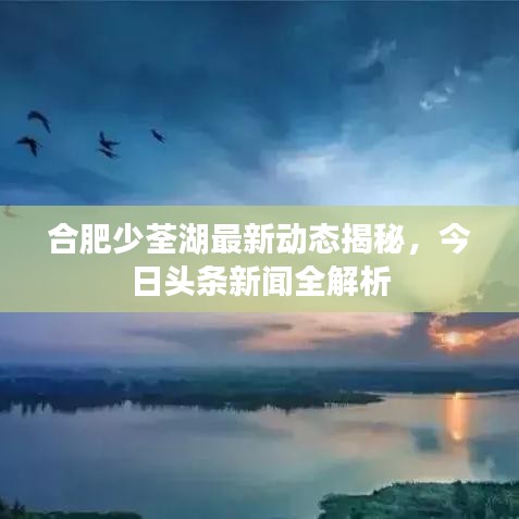 合肥少荃湖最新動(dòng)態(tài)揭秘，今日頭條新聞全解析