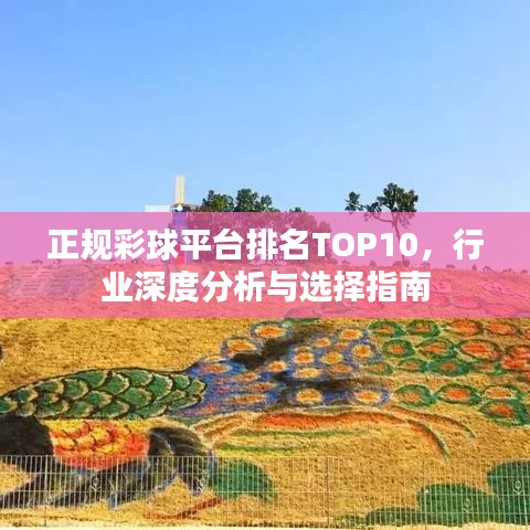 正規(guī)彩球平臺排名TOP10，行業(yè)深度分析與選擇指南