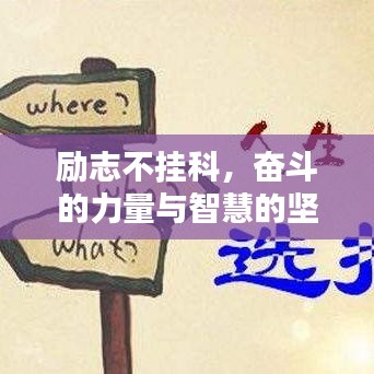勵(lì)志不掛科，奮斗的力量與智慧的堅(jiān)持之道