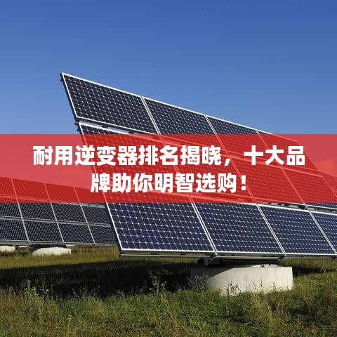 慘淡經(jīng)營 第2頁