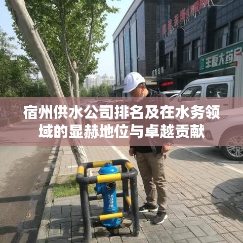 宿州供水公司排名及在水務領域的顯赫地位與卓越貢獻