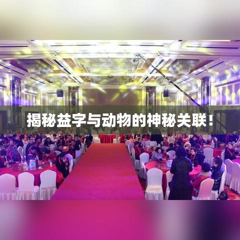 揭秘益字與動(dòng)物的神秘關(guān)聯(lián)！