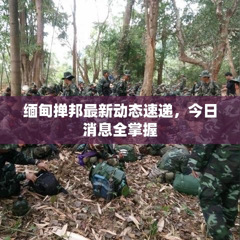 緬甸撣邦最新動態(tài)速遞，今日消息全掌握