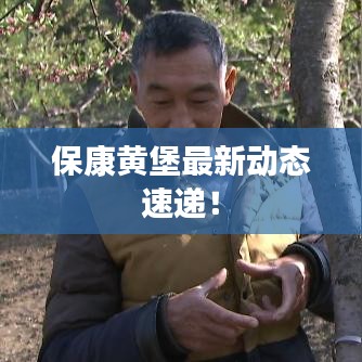 ?？迭S堡最新動(dòng)態(tài)速遞！