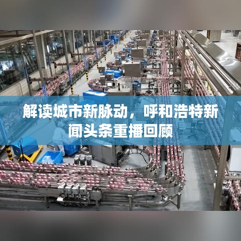 解讀城市新脈動(dòng)，呼和浩特新聞?lì)^條重播回顧