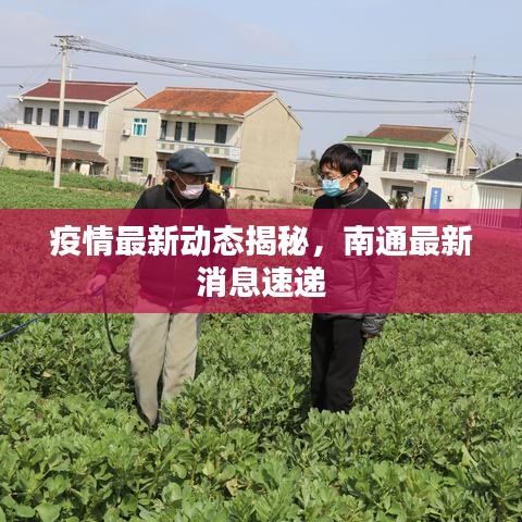 疫情最新動態(tài)揭秘，南通最新消息速遞