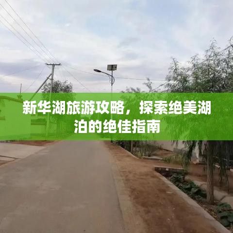 新華湖旅游攻略，探索絕美湖泊的絕佳指南