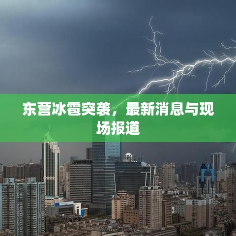 2025年5月3日 第8頁