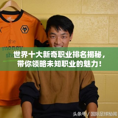 世界十大新奇職業(yè)排名揭秘，帶你領(lǐng)略未知職業(yè)的魅力！