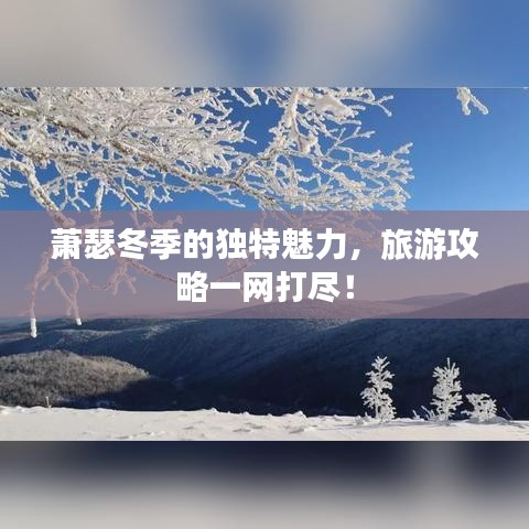 百鳥齊鳴 第2頁