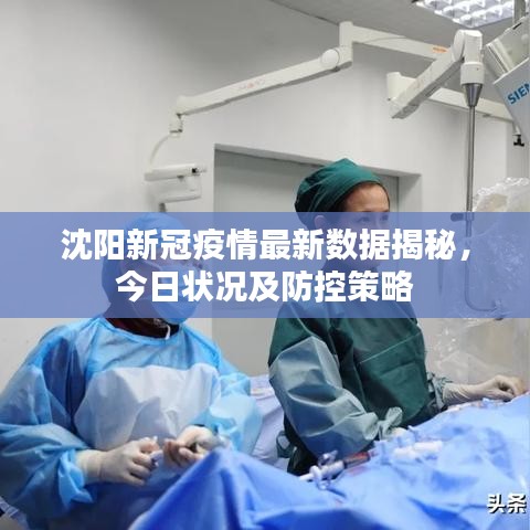 沈陽新冠疫情最新數(shù)據(jù)揭秘，今日狀況及防控策略