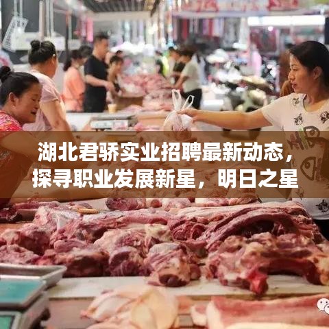 湖北君驕實業(yè)招聘最新動態(tài)，探尋職業(yè)發(fā)展新星，明日之星等你來挑戰(zhàn)！