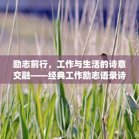 勵志前行，工作與生活的詩意交融——經(jīng)典工作勵志語錄詩句