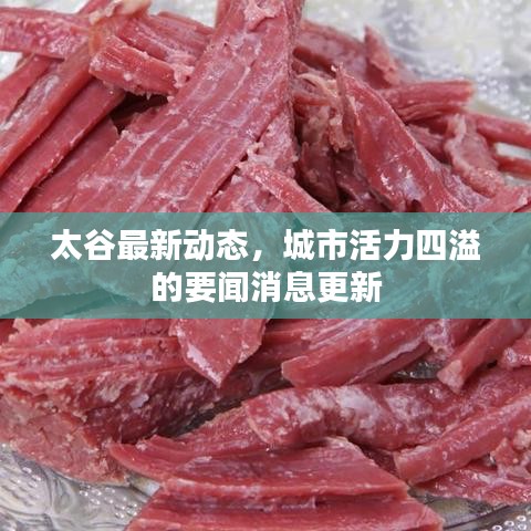 太谷最新動態(tài)，城市活力四溢的要聞消息更新