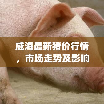 威海最新豬價行情，市場走勢及影響因素深度解析
