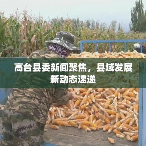高臺縣委新聞聚焦，縣域發(fā)展新動態(tài)速遞