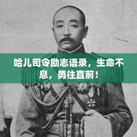 金石為開 第2頁