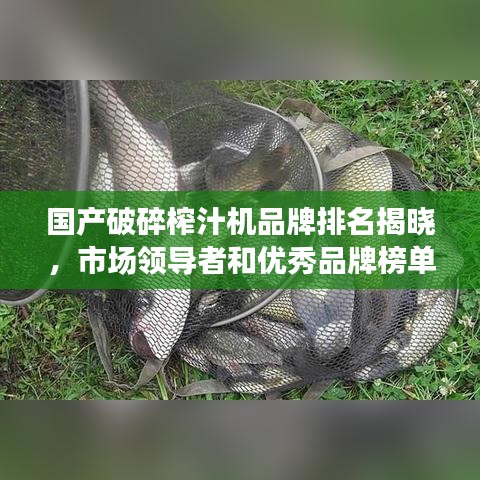 國產(chǎn)破碎榨汁機(jī)品牌排名揭曉，市場(chǎng)領(lǐng)導(dǎo)者和優(yōu)秀品牌榜單！