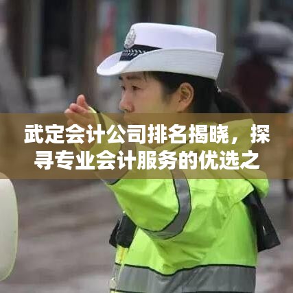 武定會計公司排名揭曉，探尋專業(yè)會計服務的優(yōu)選之選！