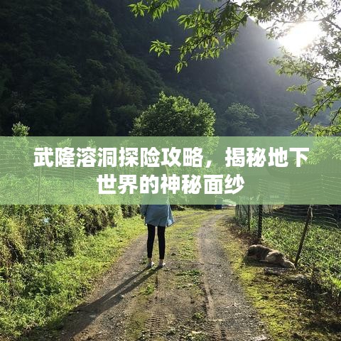 武隆溶洞探險攻略，揭秘地下世界的神秘面紗