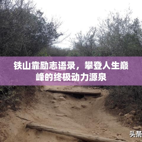 鐵山靠勵(lì)志語(yǔ)錄，攀登人生巔峰的終極動(dòng)力源泉