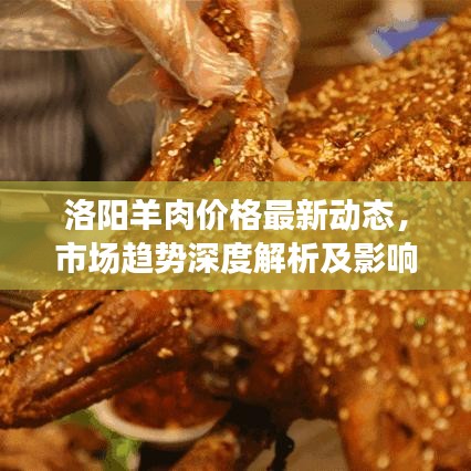洛陽羊肉價格最新動態(tài)，市場趨勢深度解析及影響因素全解析