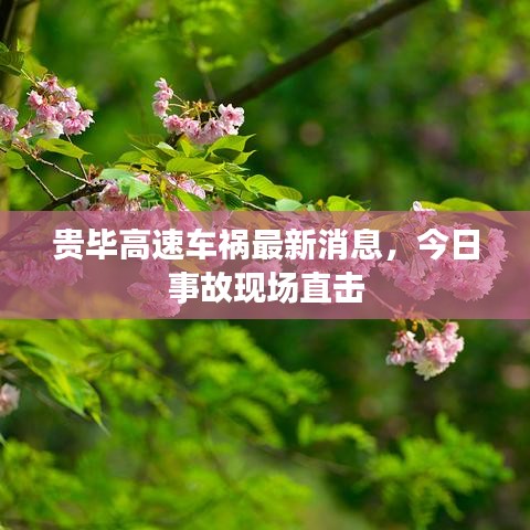 貴畢高速車(chē)禍最新消息，今日事故現(xiàn)場(chǎng)直擊