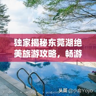獨(dú)家揭秘東莞湖絕美旅游攻略，暢游湖光山色，盡享自然盛宴