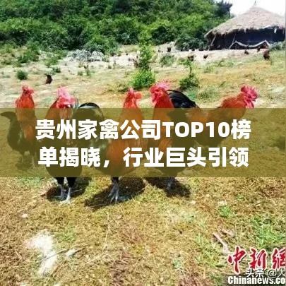 貴州家禽公司TOP10榜單揭曉，行業(yè)巨頭引領發(fā)展潮流