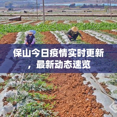 保山今日疫情實(shí)時(shí)更新，最新動(dòng)態(tài)速覽