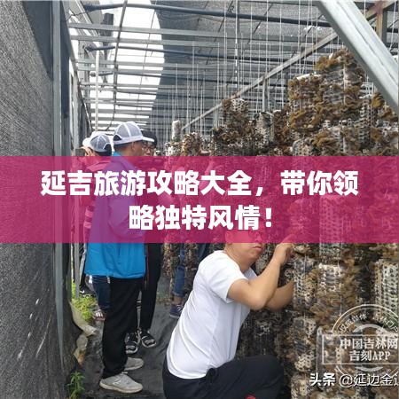 延吉旅游攻略大全，帶你領(lǐng)略獨(dú)特風(fēng)情！