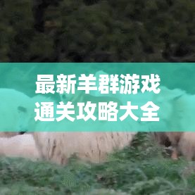 最新羊群游戲通關攻略大全，輕松成為領頭羊！