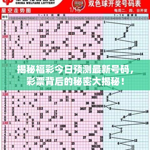 揭秘福彩今日預(yù)測最新號碼，彩票背后的秘密大揭秘！