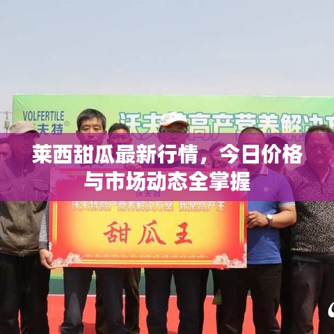 萊西甜瓜最新行情，今日價格與市場動態(tài)全掌握
