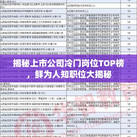 揭秘上市公司冷門崗位TOP榜，鮮為人知職位大揭秘