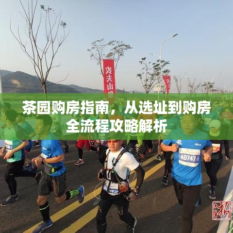 茶園購(gòu)房指南，從選址到購(gòu)房全流程攻略解析