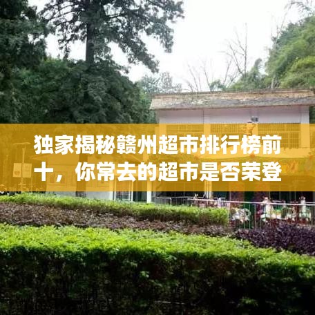 獨(dú)家揭秘贛州超市排行榜前十，你常去的超市是否榮登榜單？