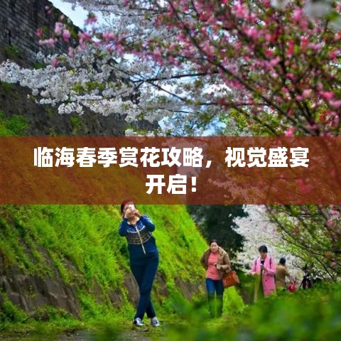 臨海春季賞花攻略，視覺盛宴開啟！