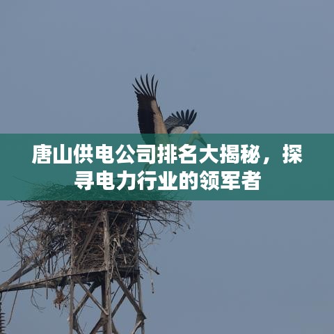 唐山供電公司排名大揭秘，探尋電力行業(yè)的領(lǐng)軍者