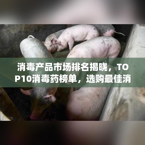 消毒產(chǎn)品市場(chǎng)排名揭曉，TOP10消毒藥榜單，選購(gòu)最佳消毒產(chǎn)品指南