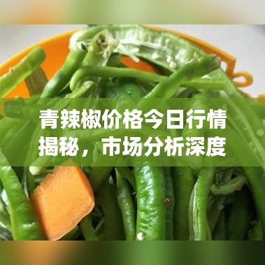 青辣椒價(jià)格今日行情揭秘，市場(chǎng)分析深度解讀