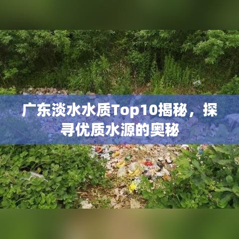 廣東淡水水質(zhì)Top10揭秘，探尋優(yōu)質(zhì)水源的奧秘