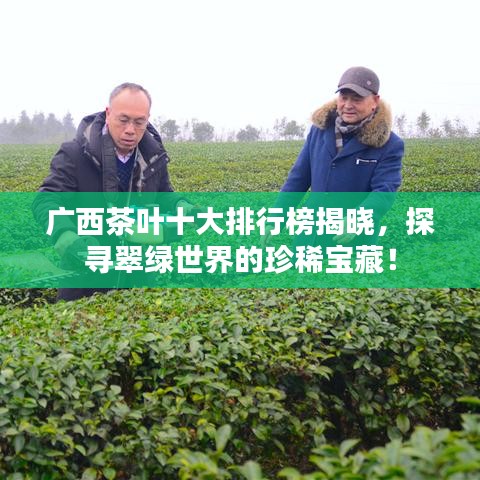 廣西茶葉十大排行榜揭曉，探尋翠綠世界的珍稀寶藏！