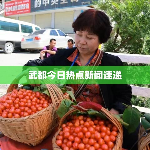 武都今日熱點新聞速遞