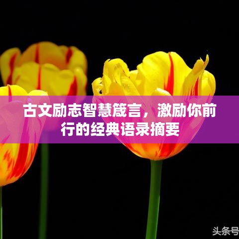 古文勵(lì)志智慧箴言，激勵(lì)你前行的經(jīng)典語錄摘要