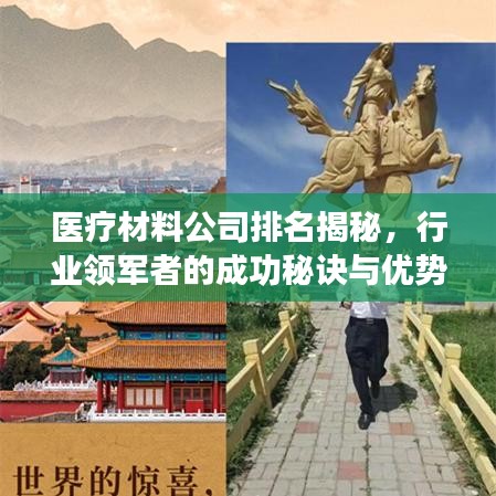 醫(yī)療材料公司排名揭秘，行業(yè)領(lǐng)軍者的成功秘訣與優(yōu)勢(shì)對(duì)比
