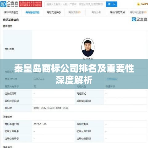 秦皇島商標(biāo)公司排名及重要性深度解析