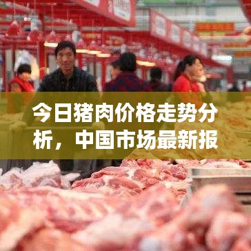 今日豬肉價(jià)格走勢(shì)分析，中國(guó)市場(chǎng)最新報(bào)價(jià)及趨勢(shì)預(yù)測(cè)