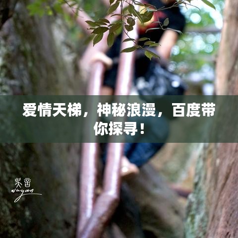 愛情天梯，神秘浪漫，百度帶你探尋！