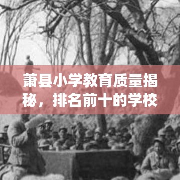 蕭縣小學(xué)教育質(zhì)量揭秘，排名前十的學(xué)校有哪些過人之處？